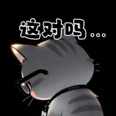 工作猫表情：这对吗